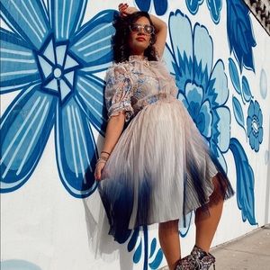 Chicwish tulle dress